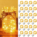 24-Pack Battery-Operated LED Fairy Lights