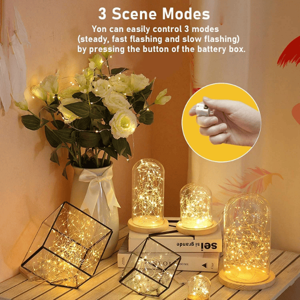 24-Pack Battery-Operated LED Fairy Lights